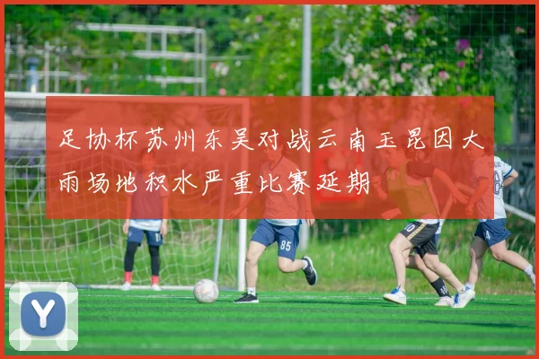 足协杯苏州东吴对战云南玉昆因大雨场地积水严重比赛延期