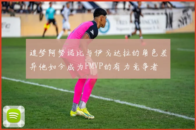 追梦阿努诺比与伊戈达拉的角色差异他如今成为FMVP的有力竞争者