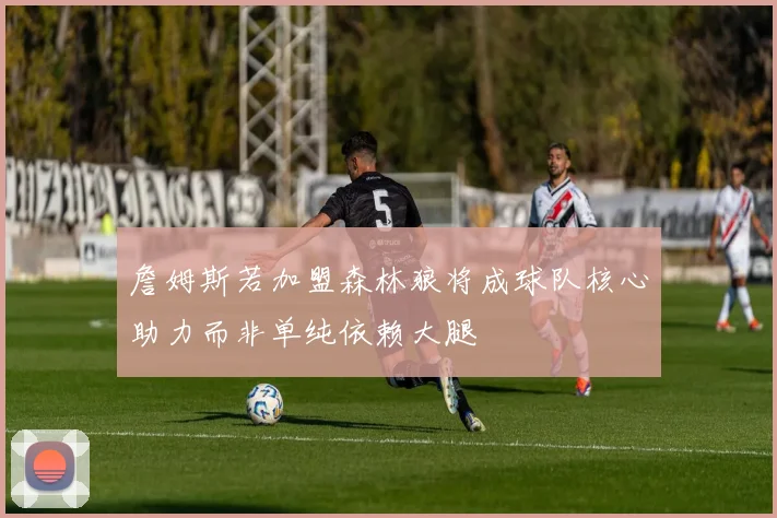 詹姆斯若加盟森林狼将成球队核心助力而非单纯依赖大腿